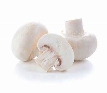 Champignon de paris